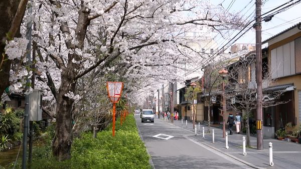 No Luggage - Around Kyoto