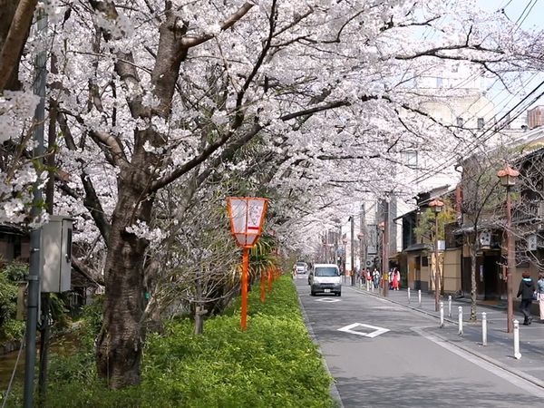 No Luggage - Around Kyoto