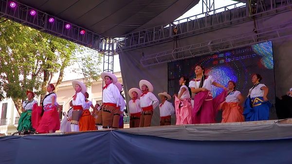 No Luggage - Fiestas