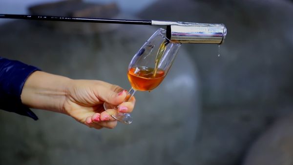 No Luggage - Wine Production