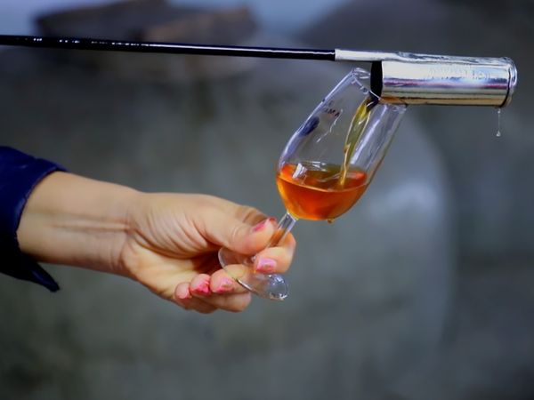 No Luggage - Wine Production