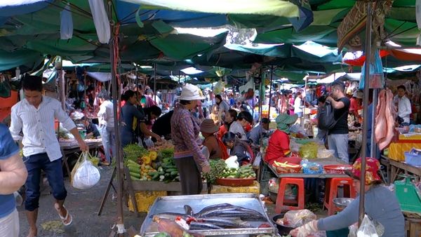 No Luggage - Markets