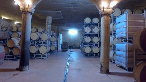 No Luggage - Winery