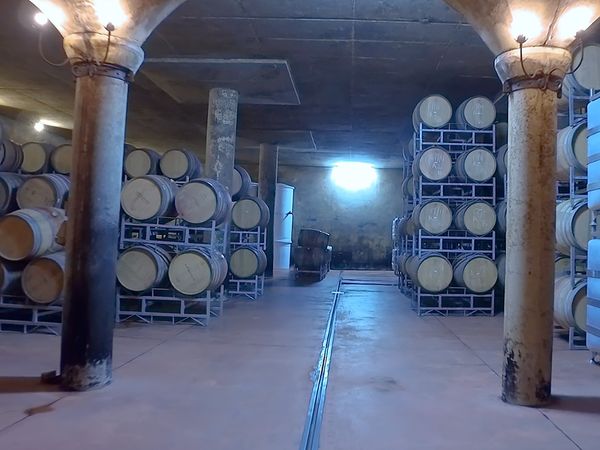 No Luggage - Winery