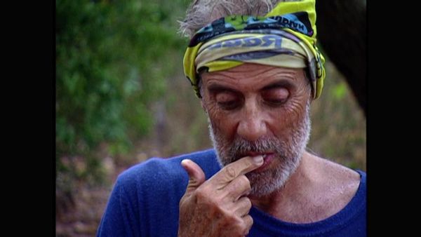 Survivor - The End Of Innocence