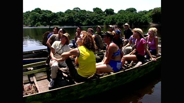 Survivor - Boys & Girls