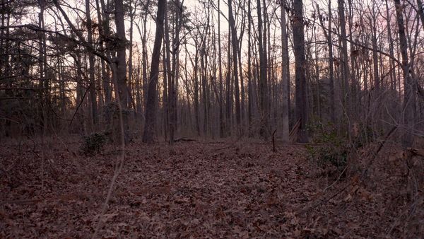 Cold Case Files - Vanished in Virginia