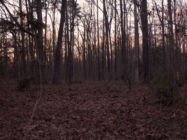 Cold Case Files - Vanished in Virginia
