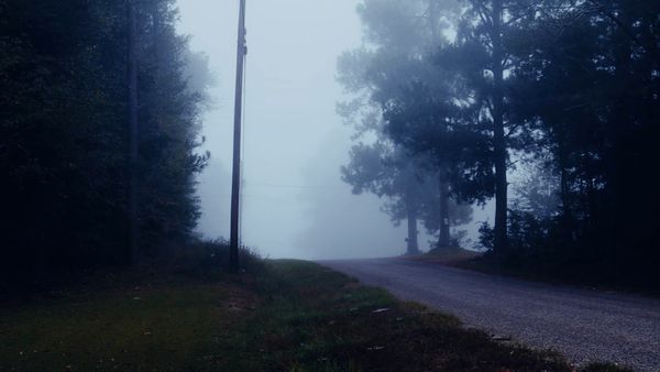Cold Case Files - Queen of the Ozarks