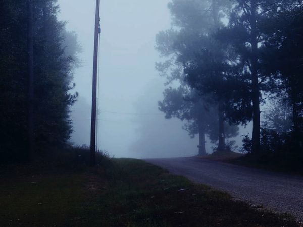 Cold Case Files - Queen of the Ozarks
