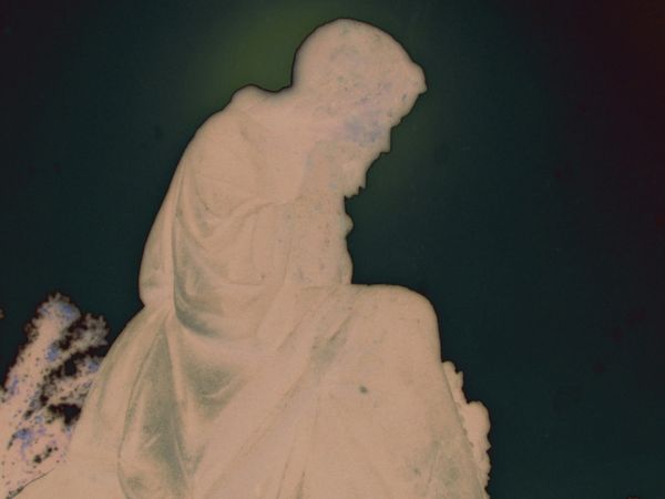 Haunted Discoveries: Family Spirits - A Family Gathering