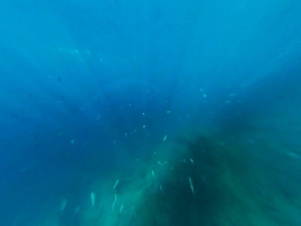 Global Child - Tenerife: The Depth Of Passion