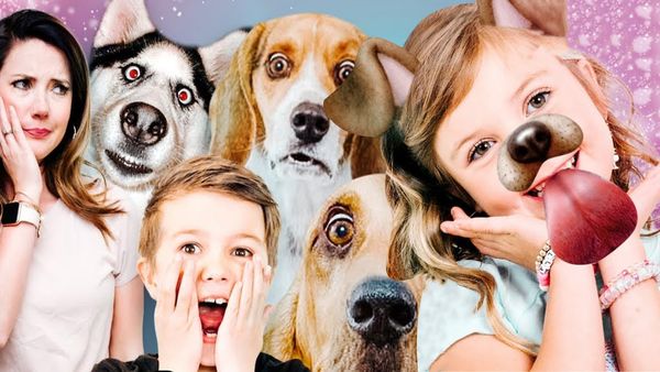 pocket.watch: The Stella Show Ultimate mishmash - Stella's Puppy Love!