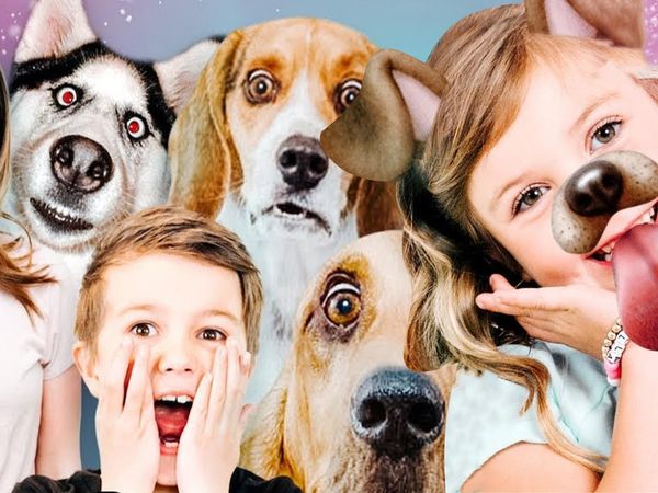 pocket.watch: The Stella Show Ultimate mishmash - Stella's Puppy Love!