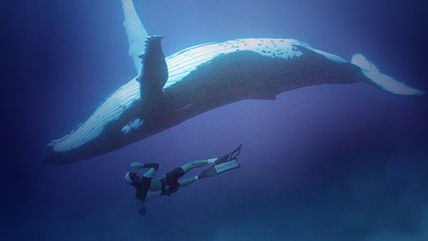 Adventure Ocean Quest - The Giants Of Rurutu - The Giants of Rurutu