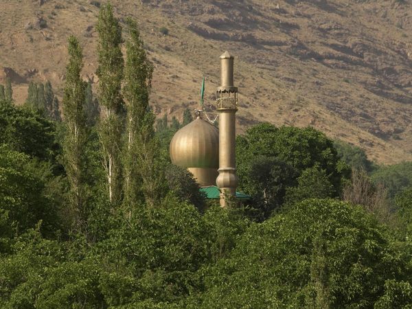 Wild Iran - Into the Green North