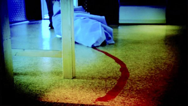 Psychic Investigators - Southern Organs Case