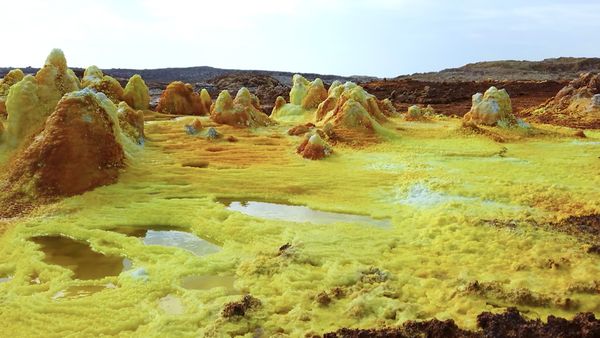No Luggage - Afar Depression Danakil