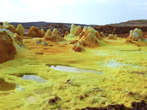 No Luggage - Afar Depression Danakil