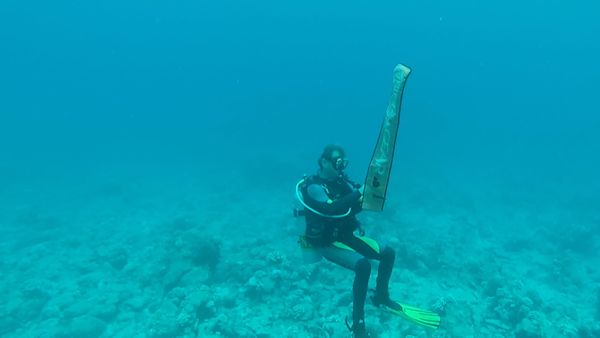 No Luggage - Diving