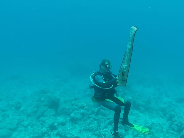 No Luggage - Diving