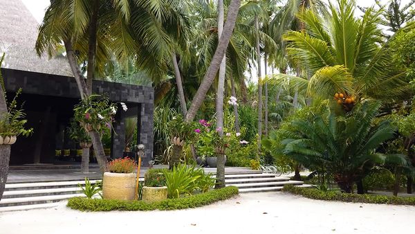 No Luggage - Kihawa Gardening Luxury and Orchids