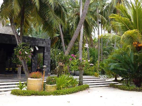 No Luggage - Kihawa Gardening Luxury and Orchids