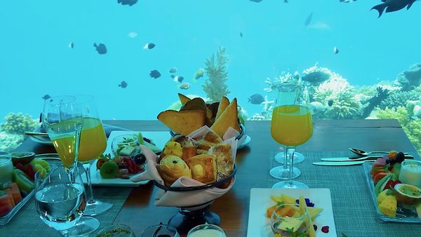 No Luggage - Underwater Restaurant