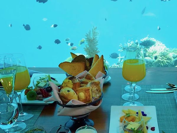No Luggage - Underwater Restaurant