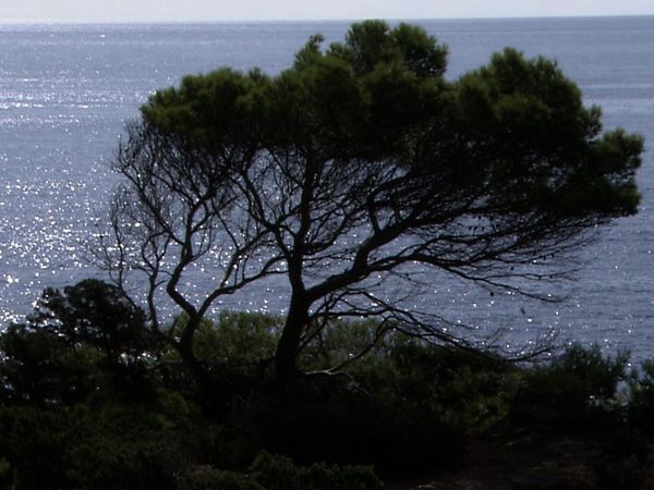 Travel in Style - CHIPRE E IBIZA