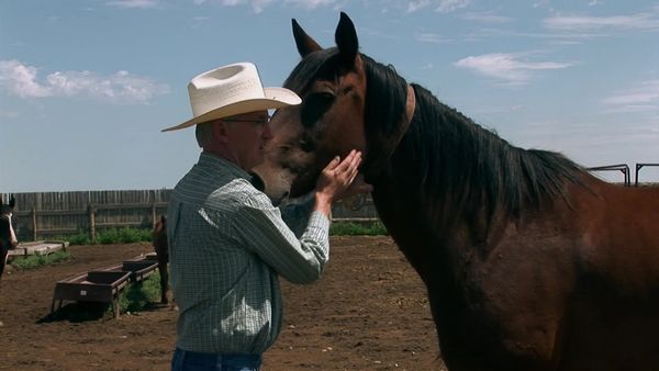 Miracles of Nature - Episodio 5