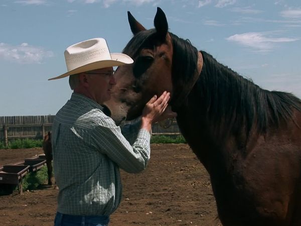 Miracles of Nature - Episodio 5