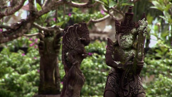 Miracles of Nature - Episodio 6