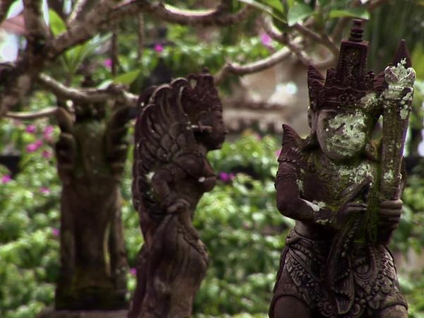 Miracles of Nature - Episodio 6