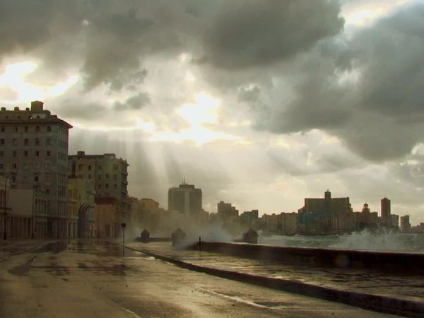 Miracles of Nature - Episodio 12