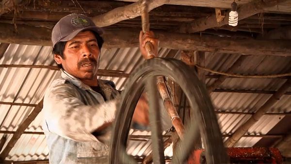 Miracles of Nature - Episodio 17