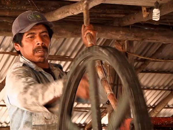 Miracles of Nature - Episodio 17