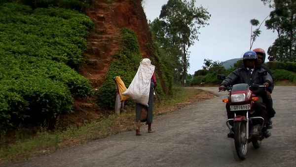 Miracles of Nature - Episodio 25