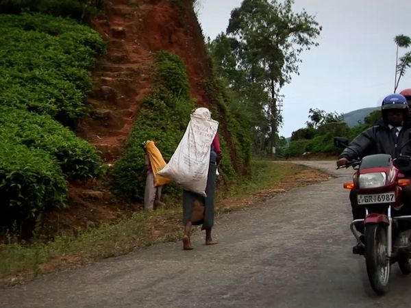 Miracles of Nature - Episodio 25