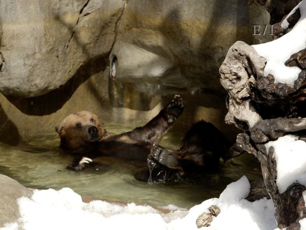 Get Wild - Episodio 1