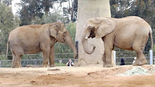 Get Wild - Episodio 3