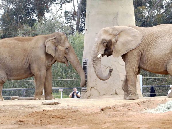 Get Wild - Episodio 3