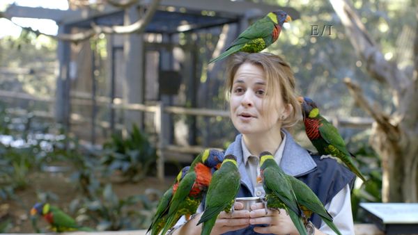 Get Wild - Episodio 5
