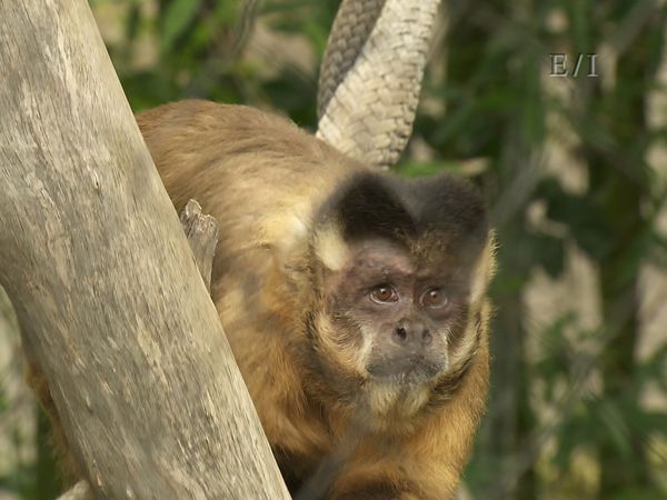 Get Wild - Episodio 14