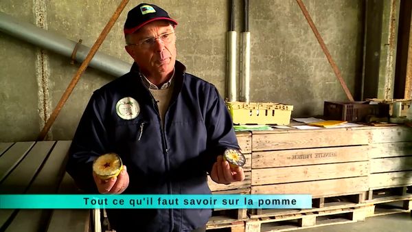 A Table Terroir - À Table Terroir - Épisode 179
