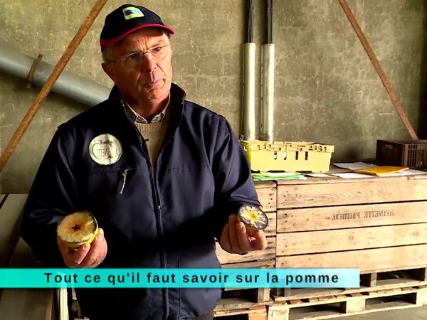 A Table Terroir - À Table Terroir - Épisode 179