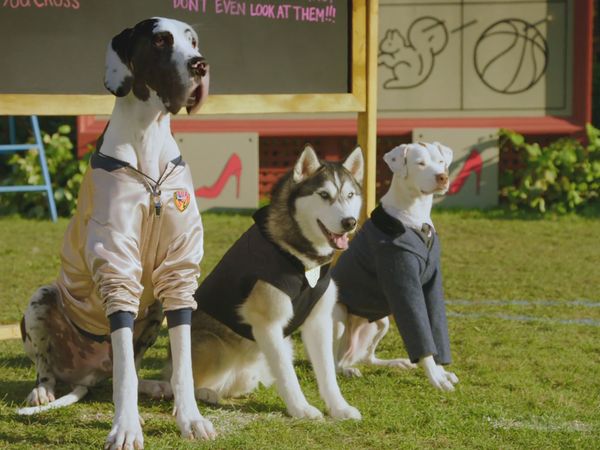 Pup Academy - Cooking Up Trouble