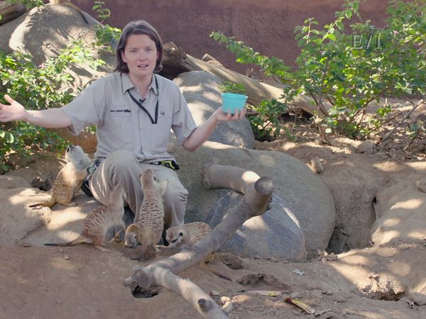 Wild Wonders - Episodio 1