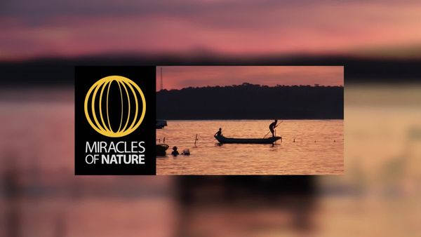 Miracles of Nature - Episodio 3