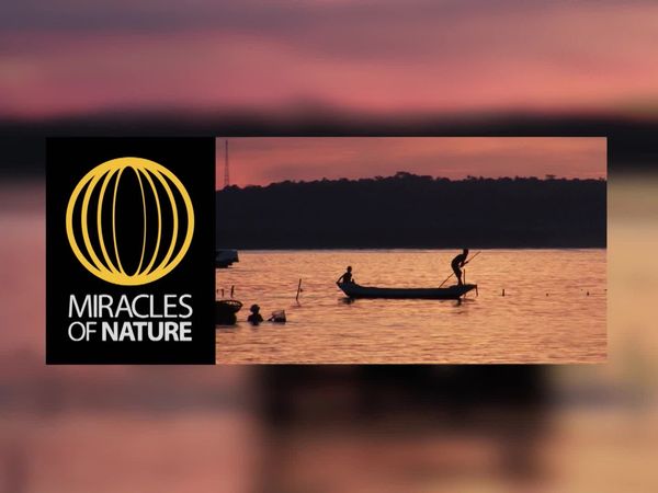 Miracles of Nature - Episodio 3